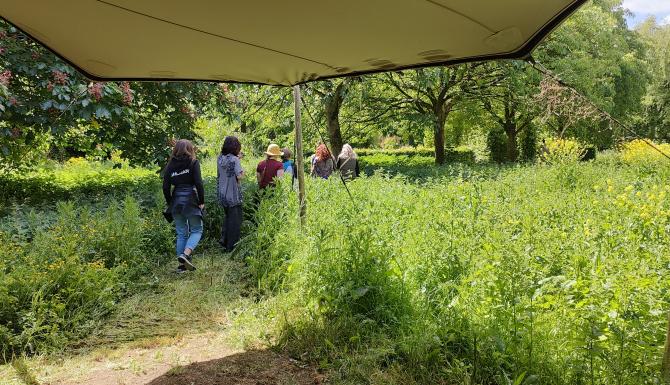 De Groene Werkwandeling