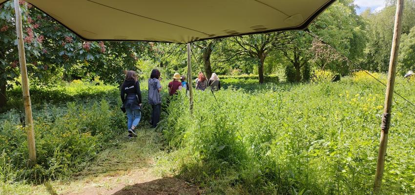 De Groene Werkwandeling